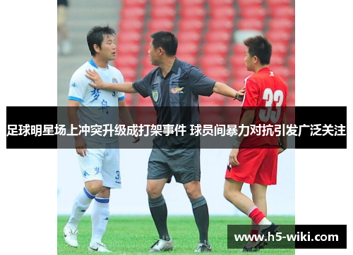 足球明星场上冲突升级成打架事件 球员间暴力对抗引发广泛关注 足球明星场上冲突升级成打架事件 球员间暴力对抗引发广泛关注