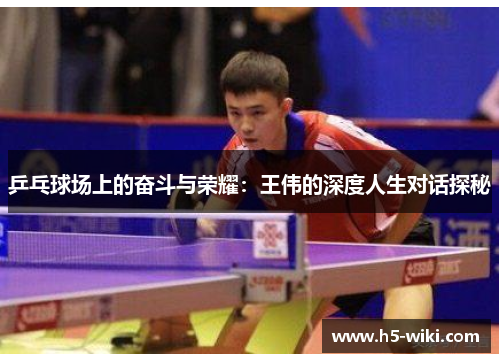 乒乓球场上的奋斗与荣耀：王伟的深度人生对话探秘