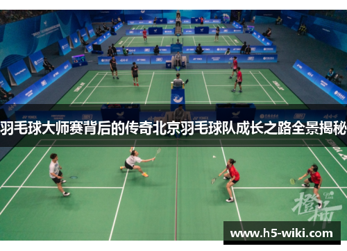 羽毛球大师赛背后的传奇北京羽毛球队成长之路全景揭秘