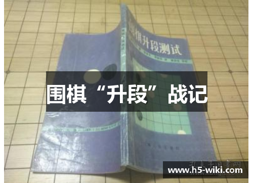 围棋“升段”战记